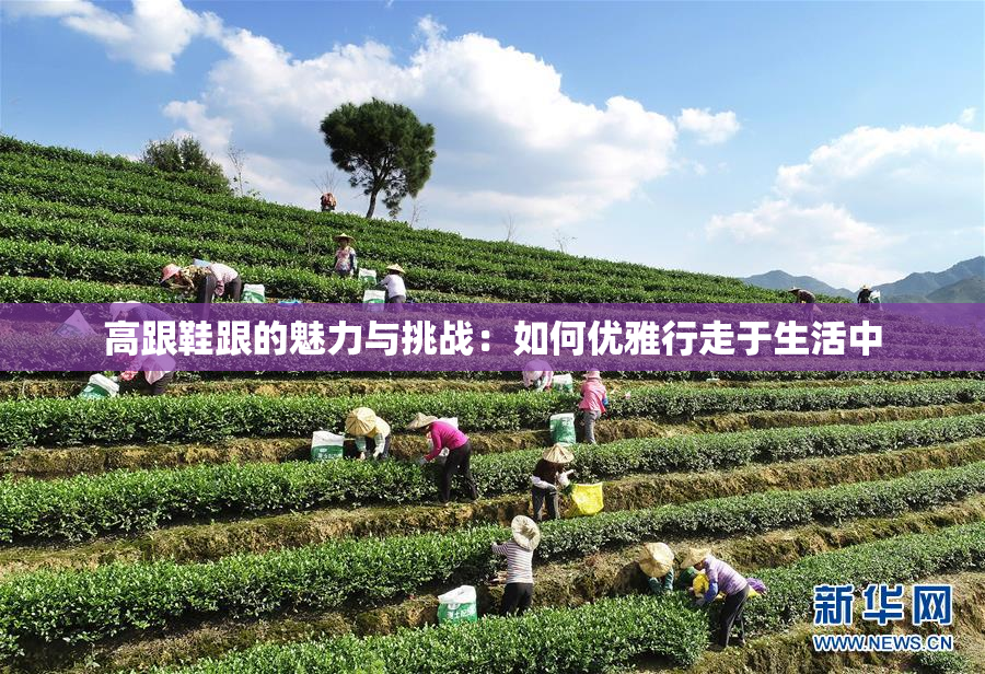 高跟鞋跟的魅力与挑战：如何优雅行走于生活中