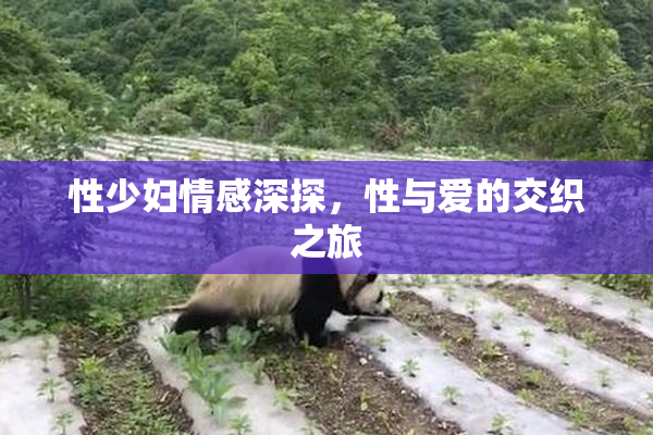 性少妇情感深探，性与爱的交织之旅