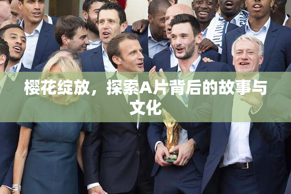 樱花绽放，探索A片背后的故事与文化