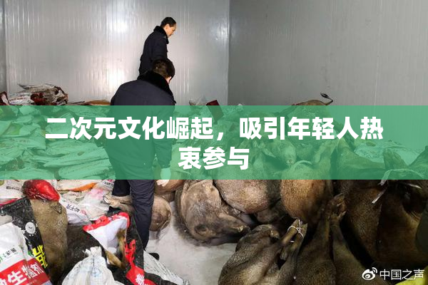 二次元文化崛起，吸引年轻人热衷参与