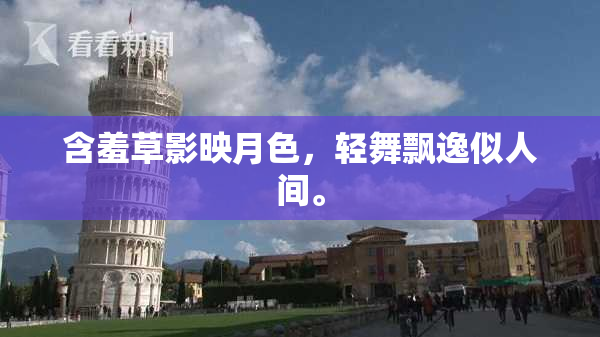 含羞草影映月色，轻舞飘逸似人间。