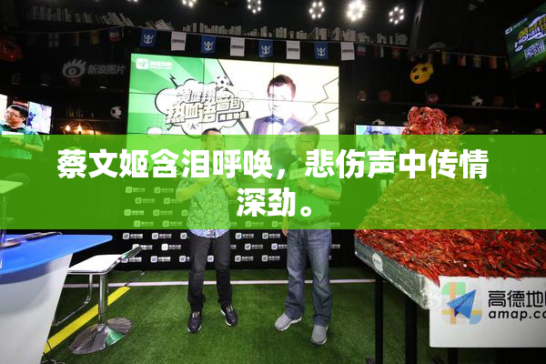 蔡文姬含泪呼唤，悲伤声中传情深劲。