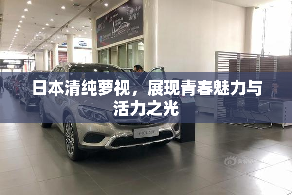 日本清纯萝视，展现青春魅力与活力之光