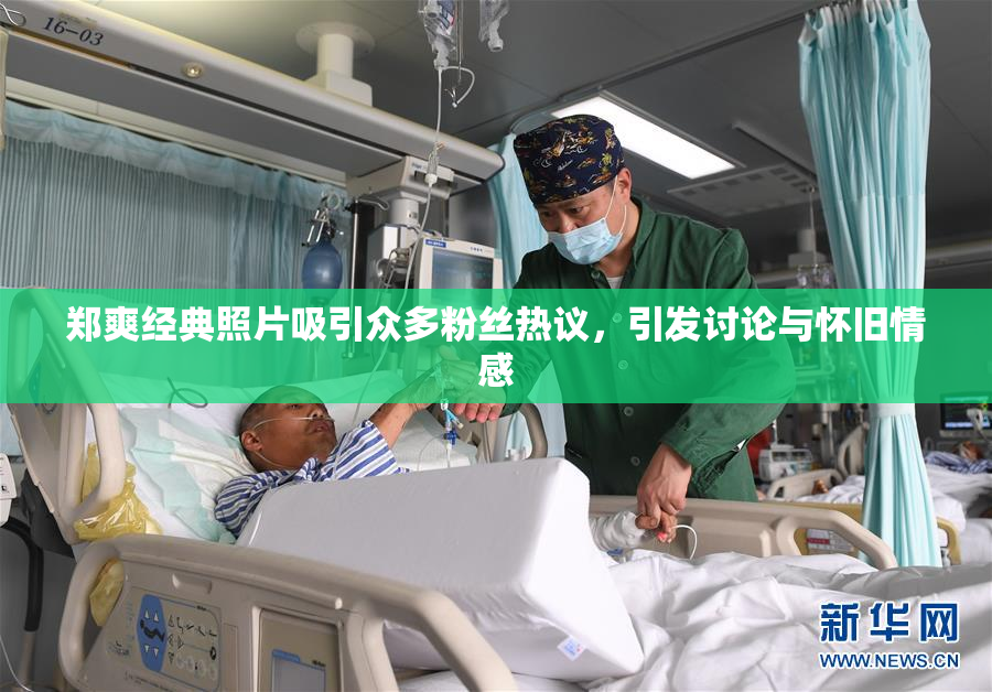 郑爽经典照片吸引众多粉丝热议，引发讨论与怀旧情感