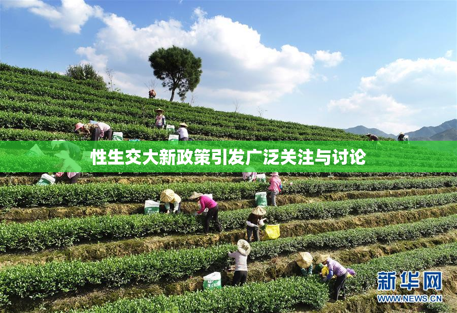 性生交大新政策引发广泛关注与讨论