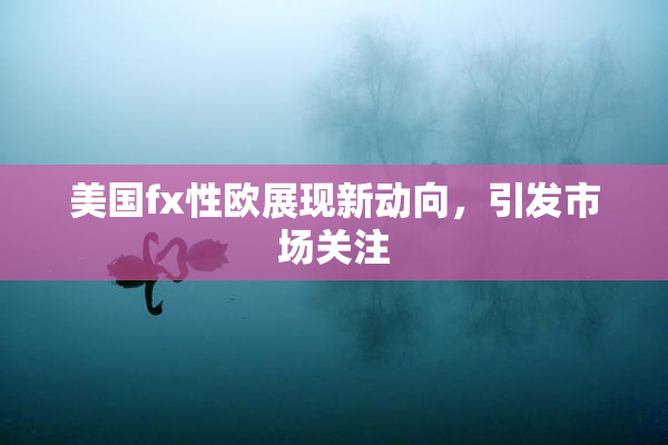 美国fx性欧展现新动向，引发市场关注