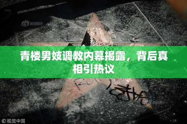 青楼男妓调教内幕揭露，背后真相引热议