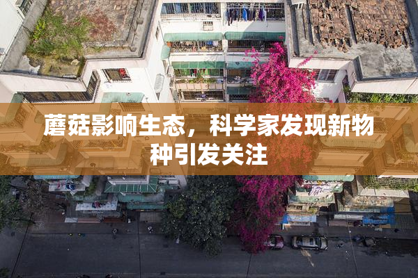 蘑菇影响生态，科学家发现新物种引发关注