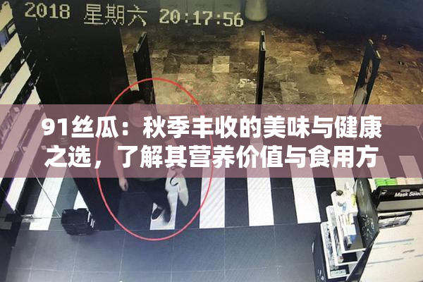 91丝瓜：秋季丰收的美味与健康之选，了解其营养价值与食用方法！