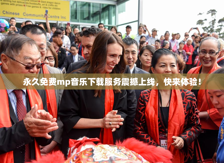 永久免费mp音乐下载服务震撼上线，快来体验！