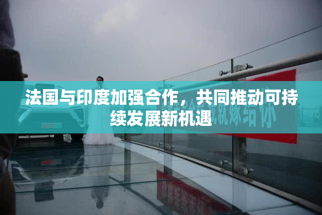 法国与印度加强合作，共同推动可持续发展新机遇