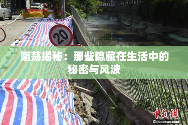 阴荡揭秘：那些隐藏在生活中的秘密与风波