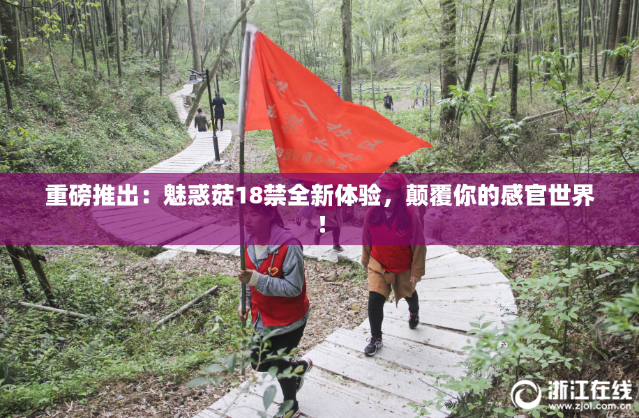 重磅推出：魅惑菇18禁全新体验，颠覆你的感官世界！