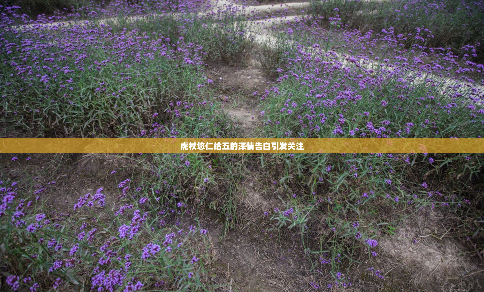 虎杖悠仁给五的深情告白引发关注