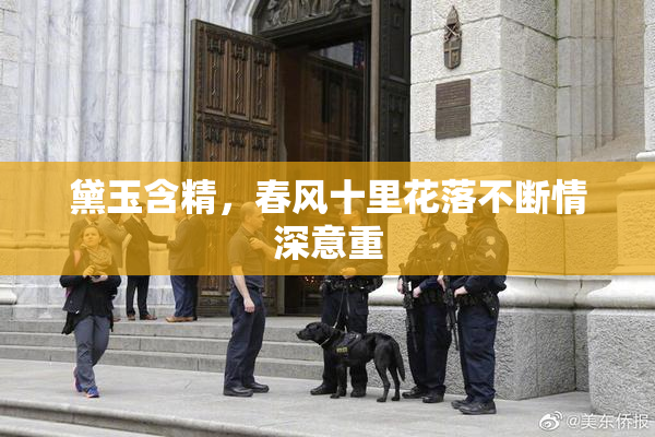 黛玉含精，春风十里花落不断情深意重