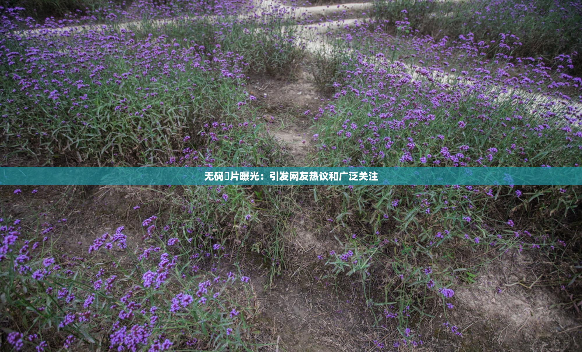 无码婬片曝光：引发网友热议和广泛关注