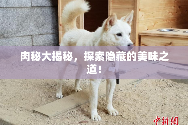 肉秘大揭秘，探索隐藏的美味之道！