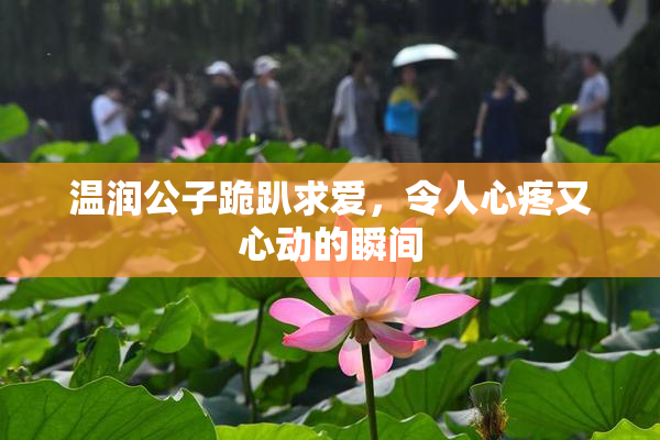 温润公子跪趴求爱，令人心疼又心动的瞬间
