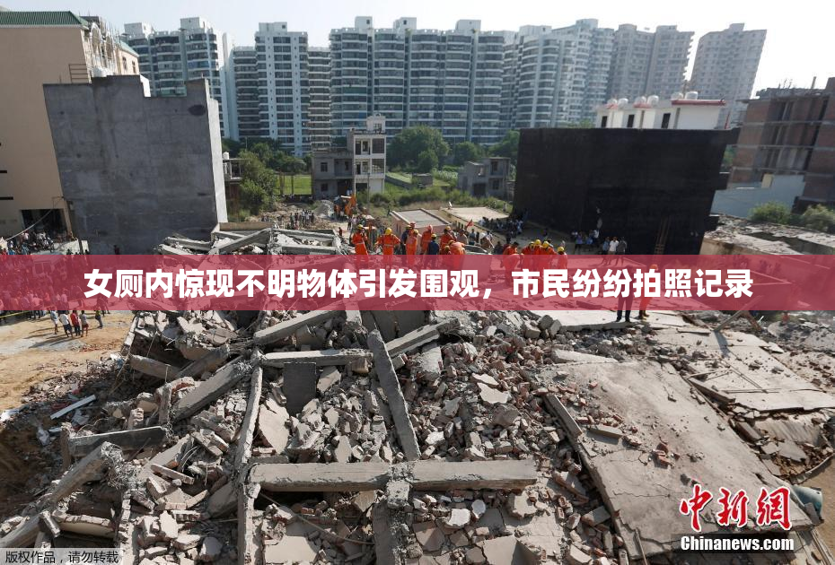女厕内惊现不明物体引发围观，市民纷纷拍照记录