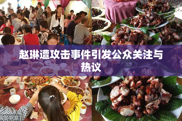 赵琳遭攻击事件引发公众关注与热议