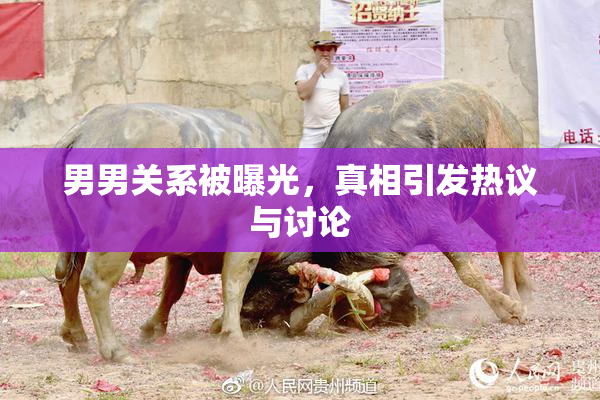 男男关系被曝光，真相引发热议与讨论
