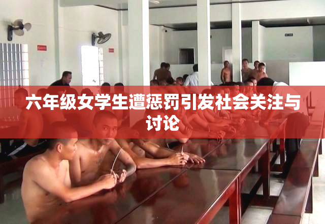 六年级女学生遭惩罚引发社会关注与讨论