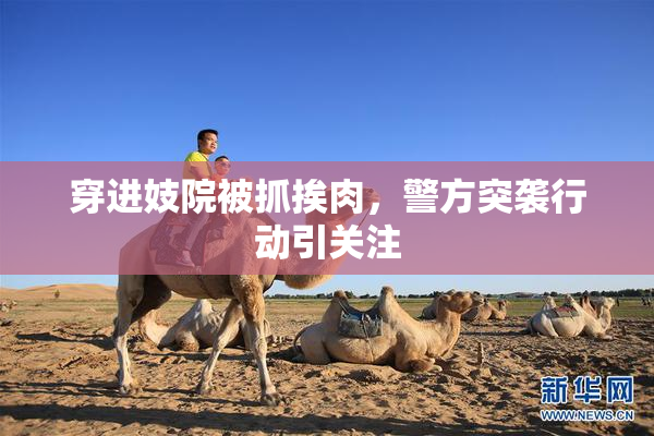 穿进妓院被抓挨肉，警方突袭行动引关注