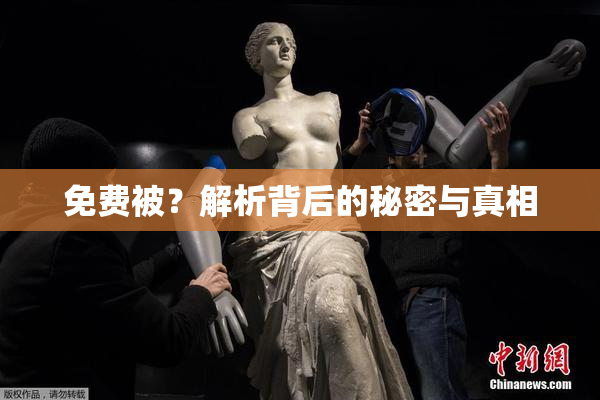 免费被？解析背后的秘密与真相