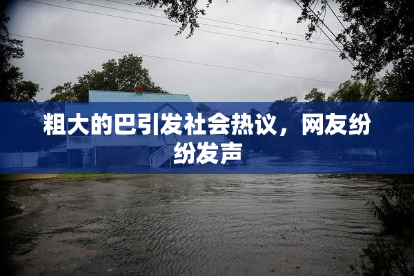 粗大的巴引发社会热议，网友纷纷发声