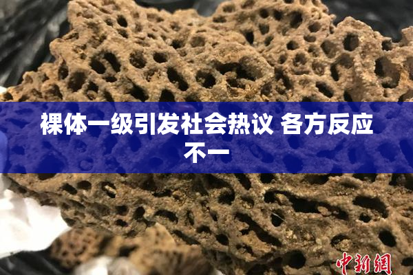 裸体一级引发社会热议 各方反应不一
