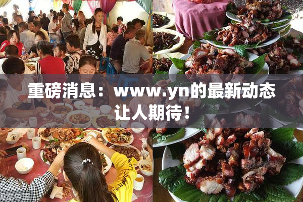 重磅消息：www.yn的最新动态让人期待！