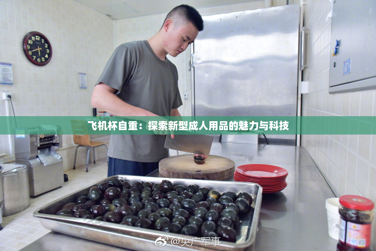 飞机杯自重：探索新型成人用品的魅力与科技