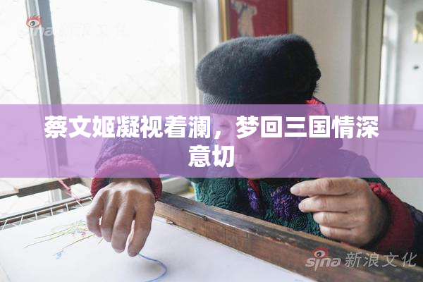 蔡文姬凝视着澜，梦回三国情深意切