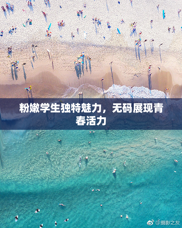 粉嫩学生独特魅力，无码展现青春活力