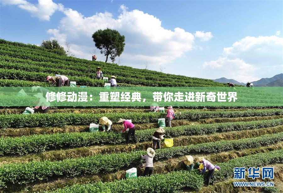 修修动漫：重塑经典，带你走进新奇世界