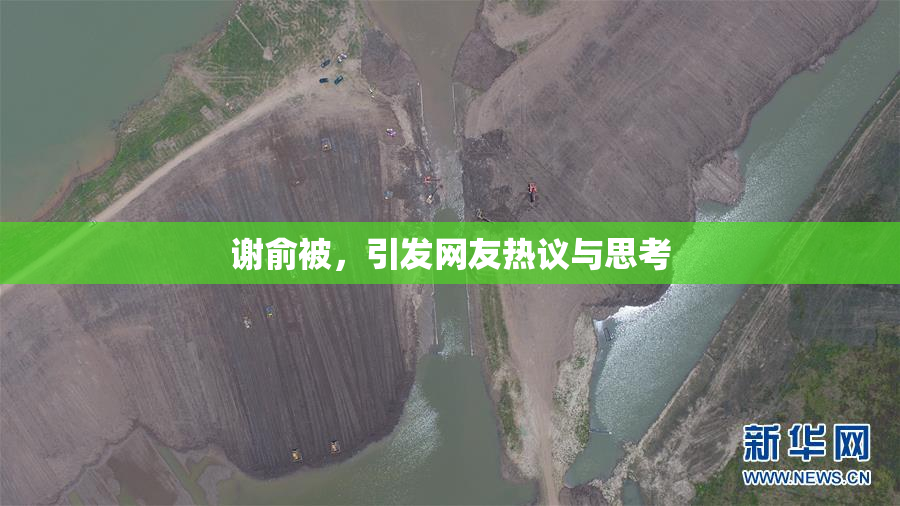 谢俞被，引发网友热议与思考