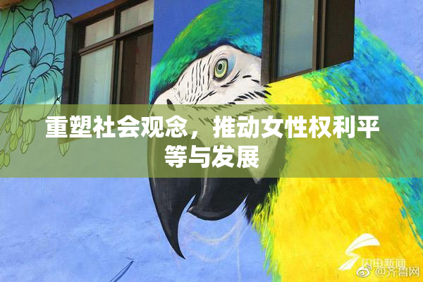 重塑社会观念，推动女性权利平等与发展