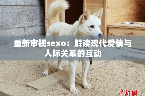 重新审视sexo：解读现代爱情与人际关系的互动