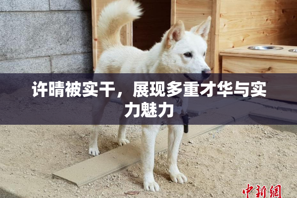 许晴被实干，展现多重才华与实力魅力