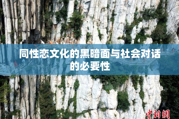 同性恋文化的黑暗面与社会对话的必要性