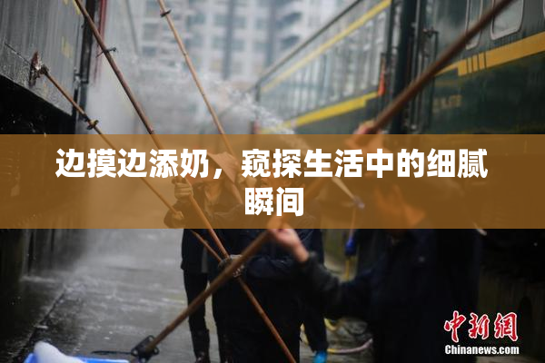 边摸边添奶，窥探生活中的细腻瞬间