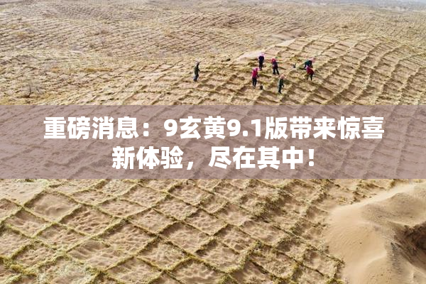 重磅消息：9玄黄9.1版带来惊喜新体验，尽在其中！