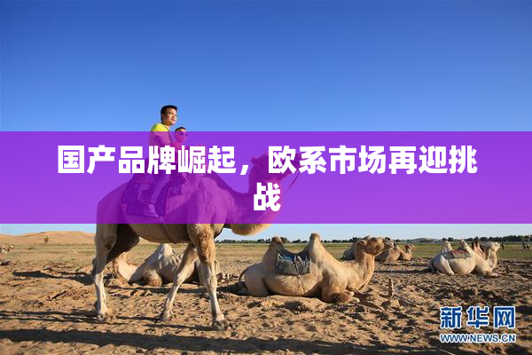 国产品牌崛起，欧系市场再迎挑战