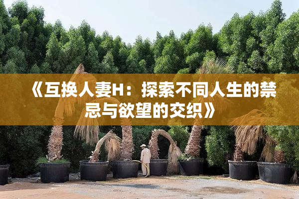 《互换人妻H：探索不同人生的禁忌与欲望的交织》