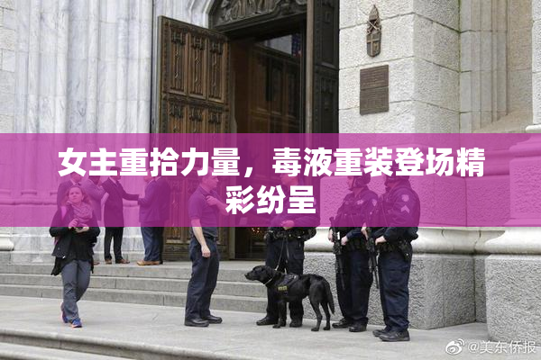 女主重拾力量，毒液重装登场精彩纷呈