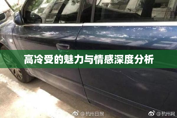 高冷受的魅力与情感深度分析