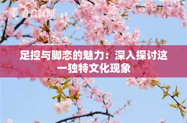 足控与脚恋的魅力：深入探讨这一独特文化现象