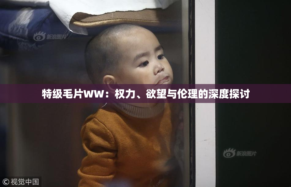 特级毛片WW：权力、欲望与伦理的深度探讨