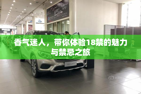 香气迷人，带你体验18禁的魅力与禁忌之旅