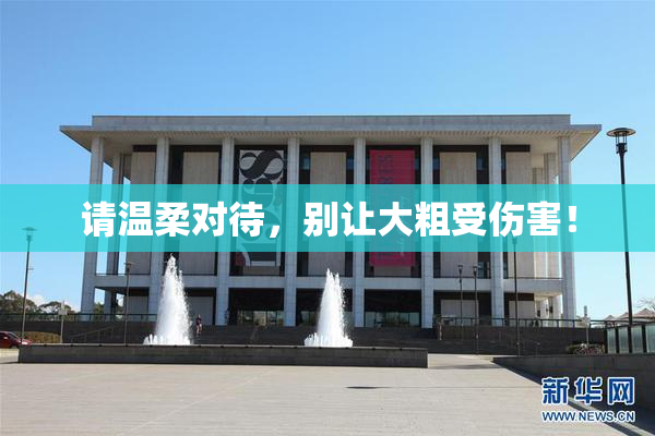 请温柔对待，别让大粗受伤害！